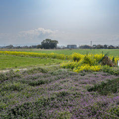 【2026年】 ゴールデンウィーク休業期間中の出荷について